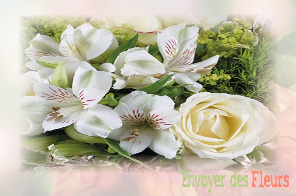 envoyer des fleurs à à FERRIERES-LES-SCEY
